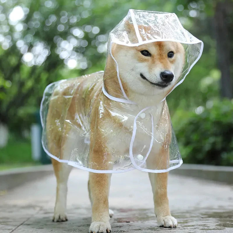 PVC Rain Mac | Luxury Pet Outerwear