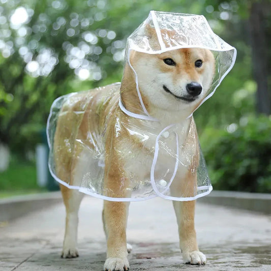 PVC Rain Mac | Luxury Pet Outerwear