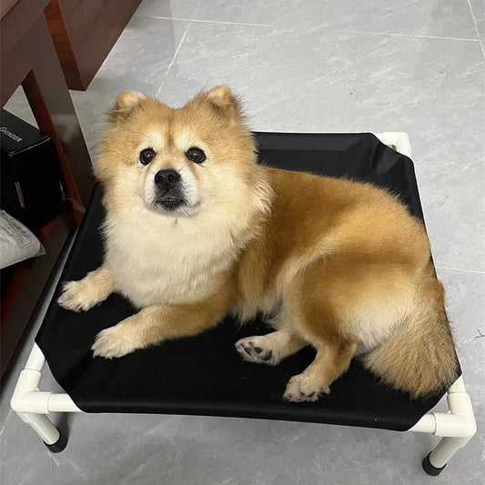 Elevated Dog Bed | Luxury Pet Accessories