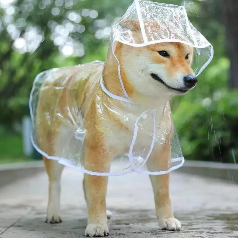 PVC Rain Mac | Luxury Pet Outerwear