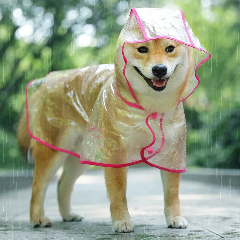 PVC Rain Mac | Luxury Pet Outerwear