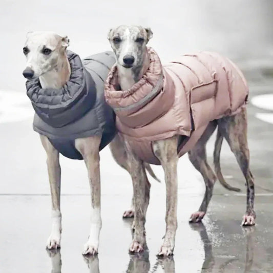 Extra Warm Insulated Coat | Luxury Pet Outerwear