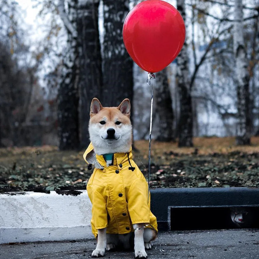 Premium Raincoat | Luxury Pet Outerwear