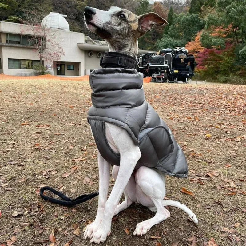 Extra Warm Insulated Coat | Luxury Pet Outerwear