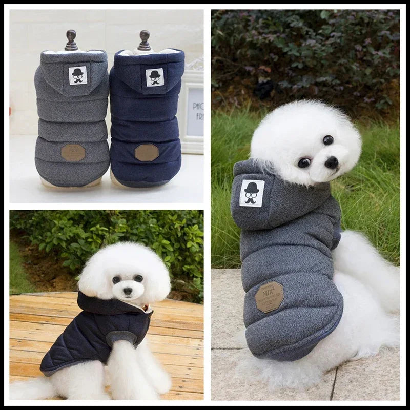 Premium Puffer Jacket | Luxury Pet Outerwear
