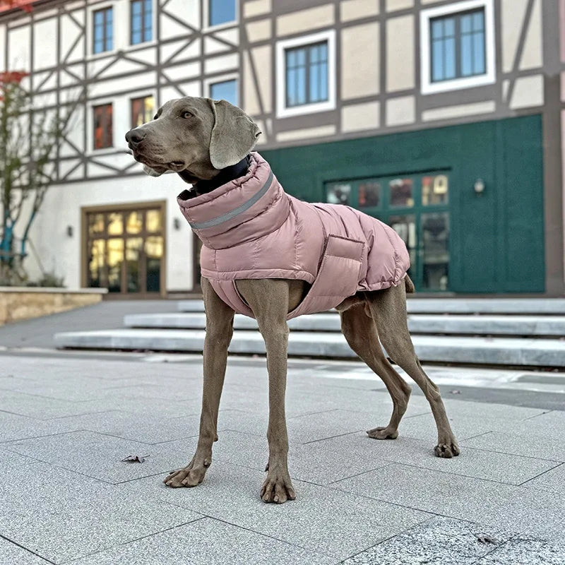 Extra Warm Insulated Coat | Luxury Pet Outerwear