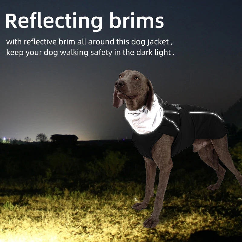 Elegant Premium Insulated Dog Jacket | Luxury Pet Outerwear
