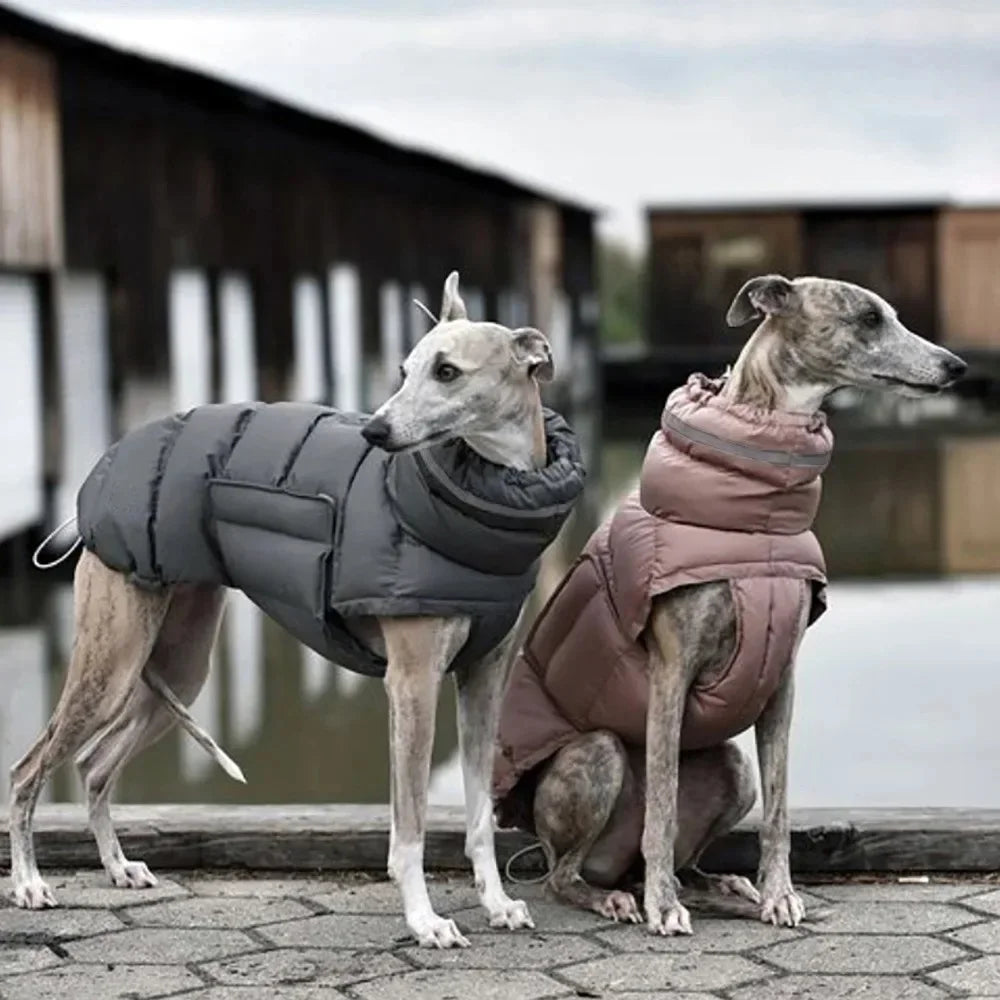 Extra Warm Insulated Coat | Luxury Pet Outerwear