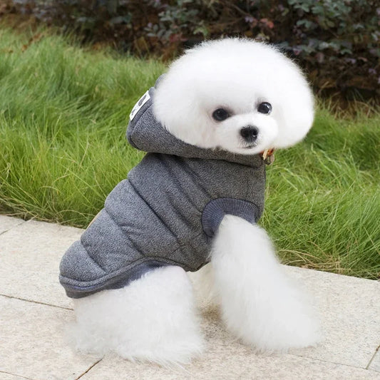 Premium Puffer Jacket | Luxury Pet Outerwear