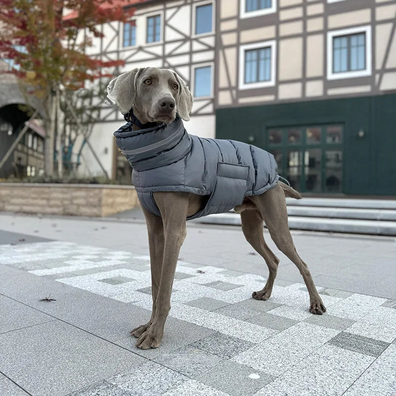 Extra Warm Insulated Coat | Luxury Pet Outerwear
