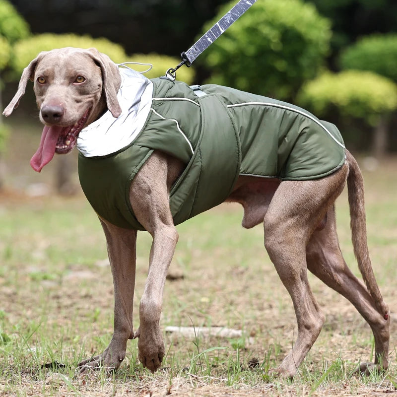 Elegant Premium Insulated Dog Jacket | Luxury Pet Outerwear