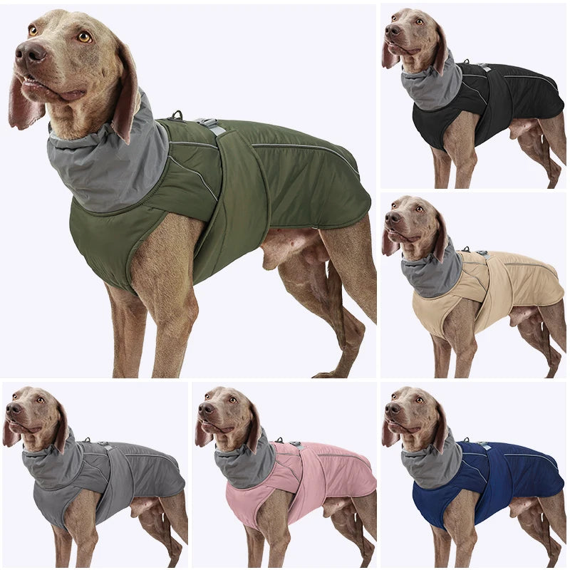 Elegant Premium Insulated Dog Jacket | Luxury Pet Outerwear