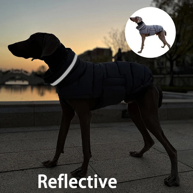 Extra Warm Insulated Coat | Luxury Pet Outerwear