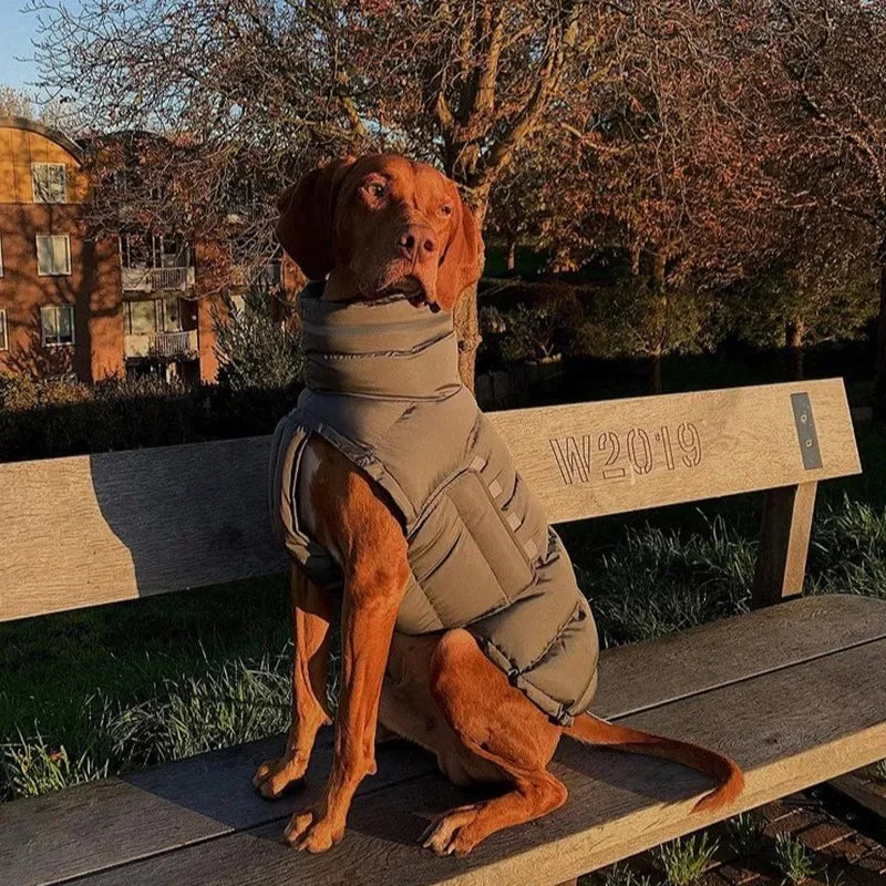 Extra Warm Insulated Coat | Luxury Pet Outerwear